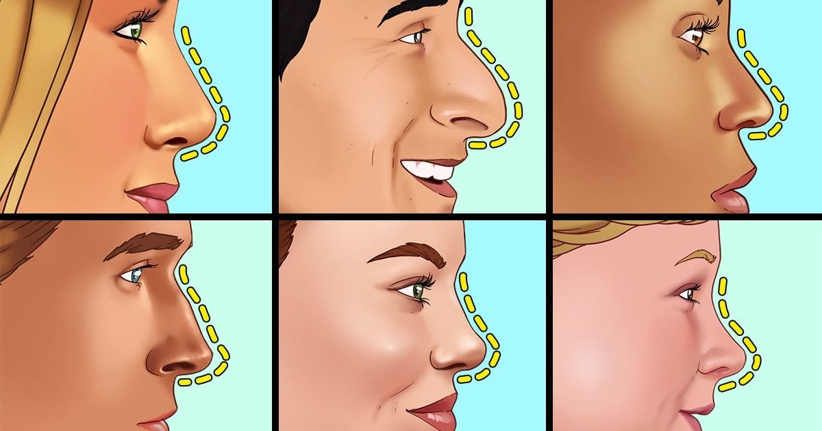 Descubre tu Tipo de Nariz y Saca tu Máximo Potencial